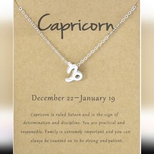 Silver Zodiac Necklace